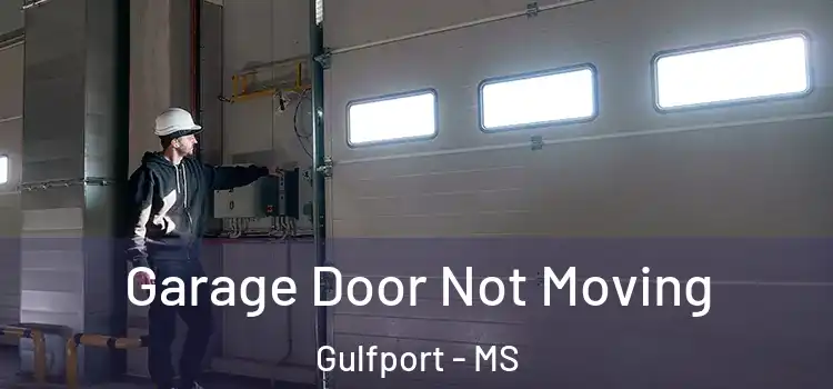  Garage Door Not Moving Gulfport - MS